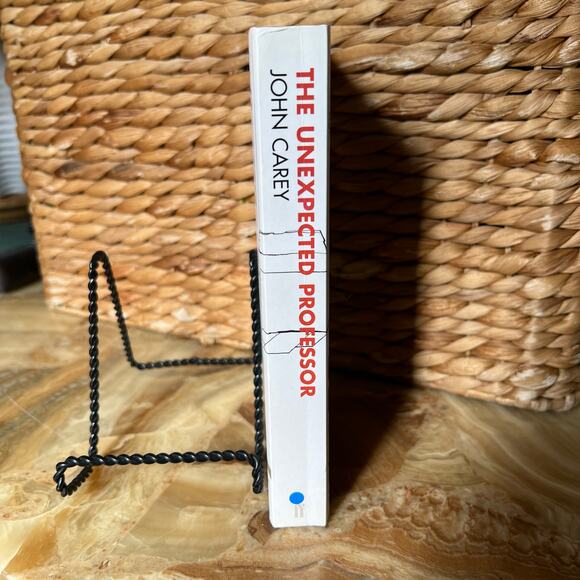 The Unexpected Professor-Novel John Carey - Picture 2 of 4